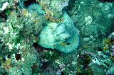 2009-09-08 13-12-03Li